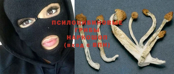 MDMA Богородицк